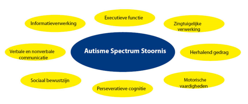 Autisme Spectrum Stoornis afbeelding 2